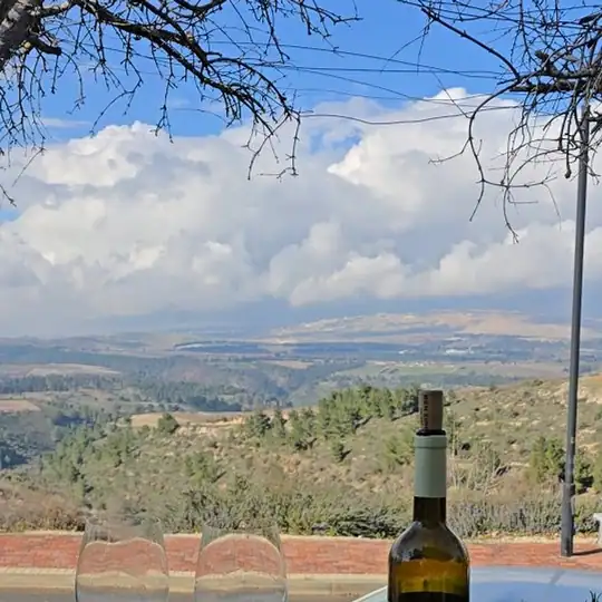 יקב בן זמרה: יקב כשר משפחתי עם נוף פנורמי ליד צפת