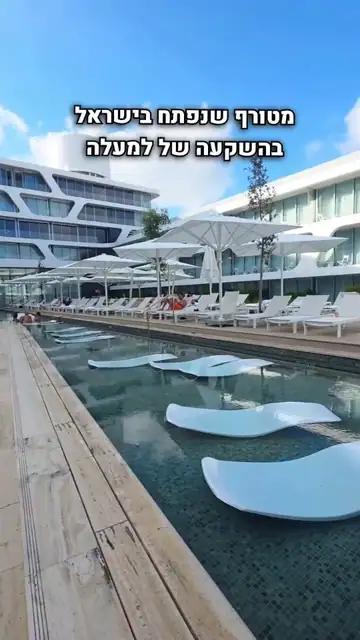 שרון