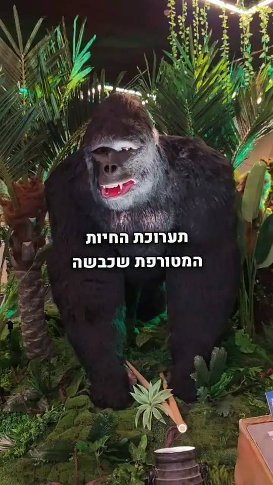 עולם החיות המופלא