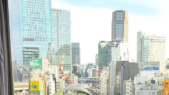 איפה לישון בטוקיו: שיבויה או גינזה, ושני המלונות של עומר