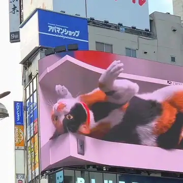 The Giant 3D Cat