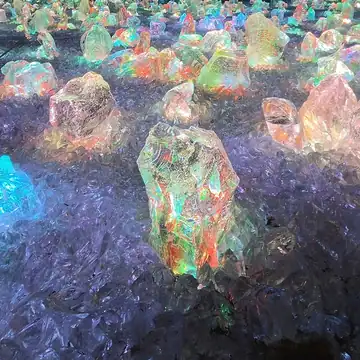 teamLab Biovortex