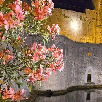 Kotor Old Town