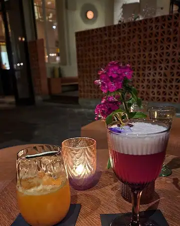 Tekés Paris