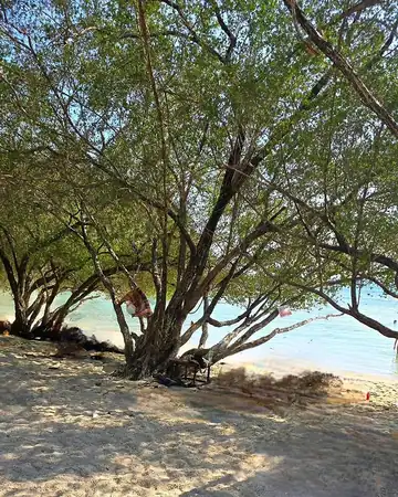 Freedom Beach Koh Tao